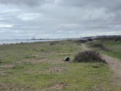 Looking back over Southampton Water